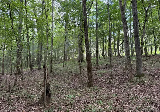 Photo 1 of Land for sale at 0 County Road 199, Troy, AL 36081 | MLS# 589906 | Listing updated on 2026-09-05
