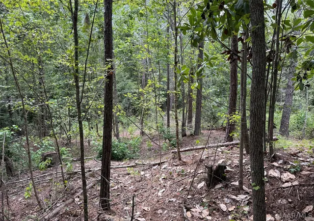 Photo 2 of Land for sale at 0 County Road 199, Troy, AL 36081 | MLS# 589906 | Listing updated on 2026-09-05