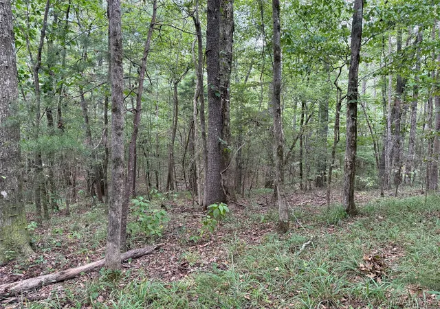 Photo 3 of Land for sale at 0 County Road 199, Troy, AL 36081 | MLS# 589906 | Listing updated on 2026-09-05