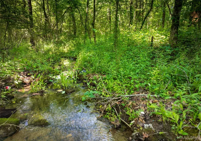 Photo 3 of Land for sale at 0 Walker St, Greensboro, AL 36744 | MLS# 589929 | Listing updated on 2026-09-10