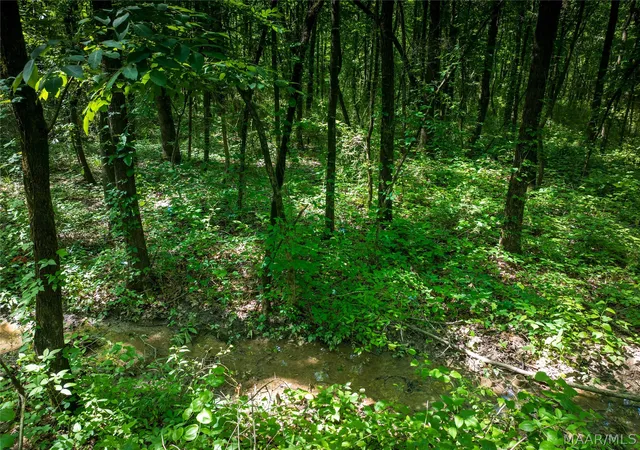 Photo 3 of Land for sale at 0 Walker St, Greensboro, AL 36744 | MLS# 589929 | Listing updated on 2026-09-10