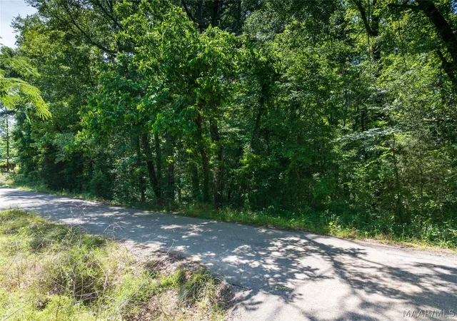 Photo 4 of Land for sale at 0 Walker St, Greensboro, AL 36744 | MLS# 589929 | Listing updated on 2026-09-10