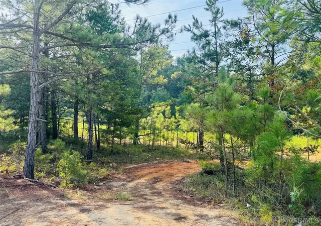 Photo 3 of Land for sale at 3 Copeland Rd, Wetumpka, AL 36092 | MLS# 589877 | Listing updated on 2026-09-02