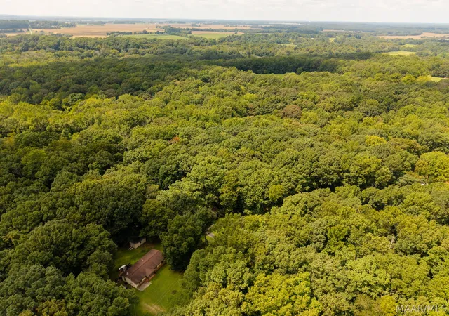 Photo 17 of Land for sale at 0 Cranbrook Dr, New Market, AL 35761 | MLS# 590004 | Listing updated on 2026-08-31