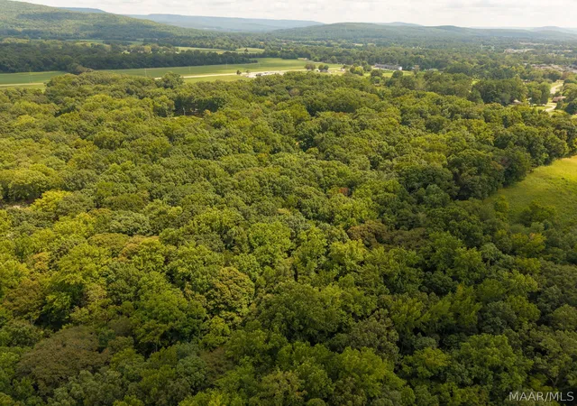 Photo 4 of Land for sale at 0 Cranbrook Dr, New Market, AL 35761 | MLS# 590004 | Listing updated on 2026-08-31