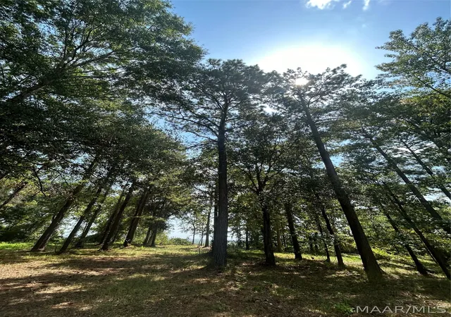 Photo 2 of Land for sale at 3 Prairie Bluff Dr, Catherine, AL 36728 | MLS# 590041 | Listing updated on 2026-09-10