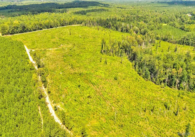 Land for sale at 0000 Halso Ml Rd, Greenville, AL 36037 | MLS# 589980