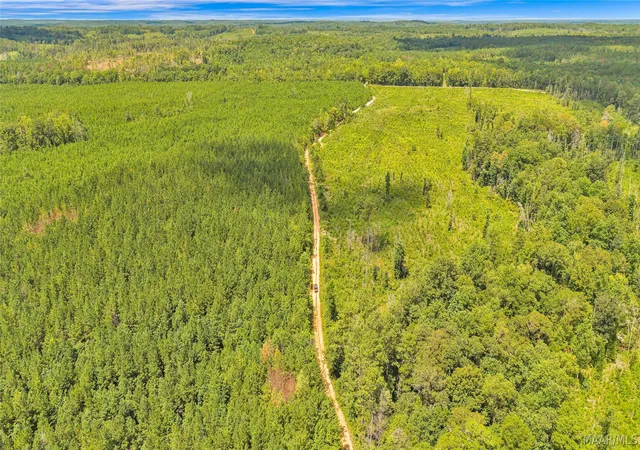 Photo 2 of Land for sale at 0000 Halso Ml Rd, Greenville, AL 36037 | MLS# 589980 | Listing updated on 2026-09-12