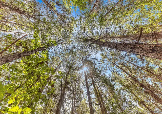 Photo 3 of Land for sale at 0000 Halso Ml Rd, Greenville, AL 36037 | MLS# 589980 | Listing updated on 2026-09-12