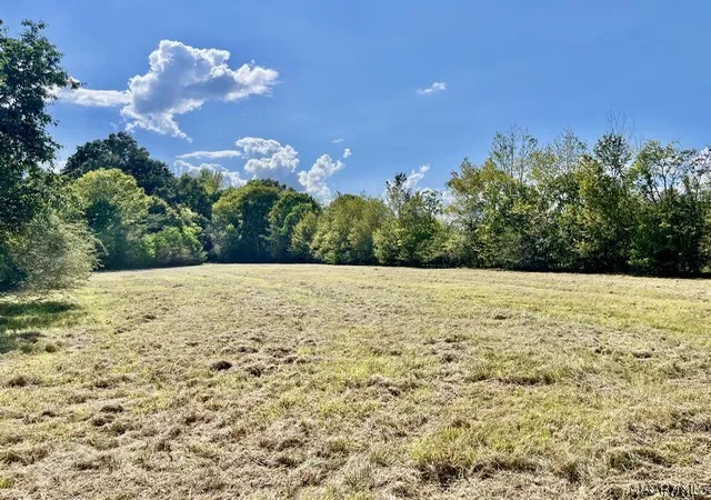 Land for sale at 1122 Jackson Lake Rd, Millbrook, AL 36054 | MLS# 590072
