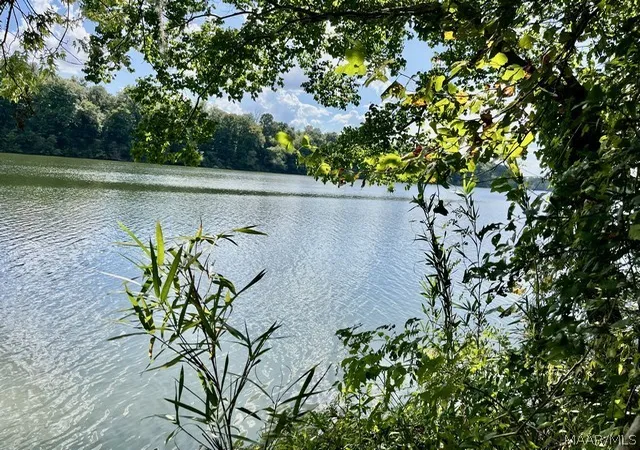 Photo 4 of Land for sale at 1122 Jackson Lake Rd, Millbrook, AL 36054 | MLS# 590072 | Listing updated on 2026-09-17