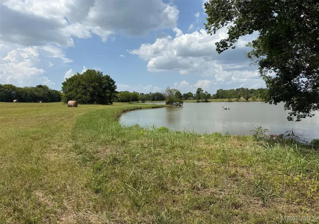 Photo 3 of Land for sale at 0 Butler Ml Rd, Montgomery, AL 36105 | MLS# 589902 | Listing updated on 2026-09-05