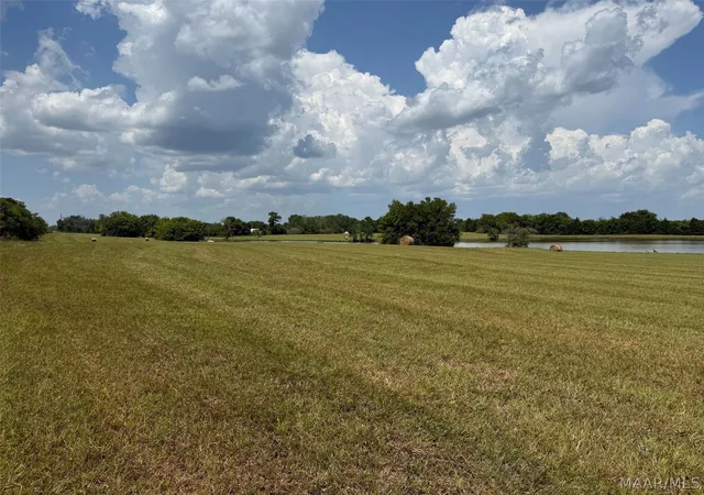 Photo 2 of Land for sale at 1 Butler Ml Rd, Montgomery, AL 36105 | MLS# 589904 | Listing updated on 2026-09-05