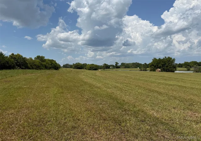 Photo 3 of Land for sale at 1 Butler Ml Rd, Montgomery, AL 36105 | MLS# 589904 | Listing updated on 2026-09-05