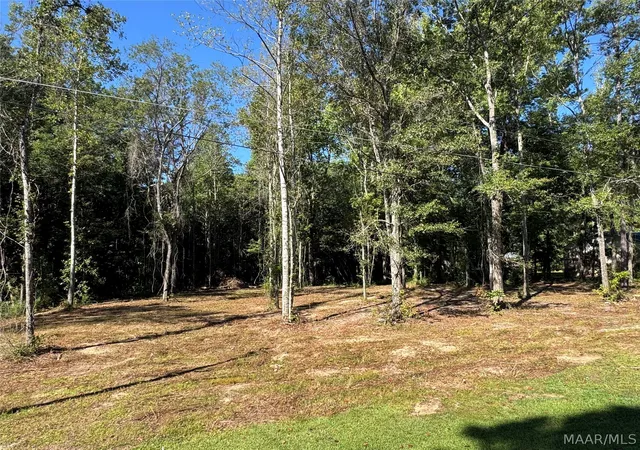 Land for sale at Lot 28 Brookley Dr, Eclectic, AL 36024 | MLS# 590095