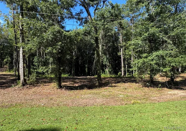 Land for sale at Lot 29 Brookley Dr, Eclectic, AL 36024 | MLS# 590096