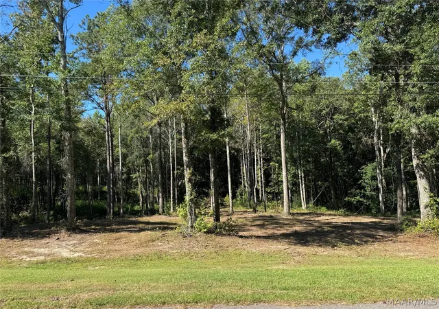 Land for sale at Lot 30 Brookley Dr, Eclectic, AL 36024 | MLS# 590098