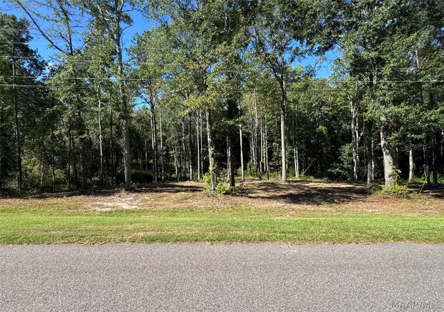 Photo 2 of Land for sale at Lot 30 Brookley Dr, Eclectic, AL 36024 | MLS# 590098 | Listing updated on 2026-09-25