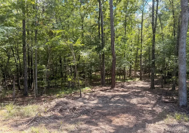 Photo 1 of Land for sale at 90 Mark Trl N, Wetumpka, AL 36093 | MLS# 590163 | Listing updated on 2026-09-03