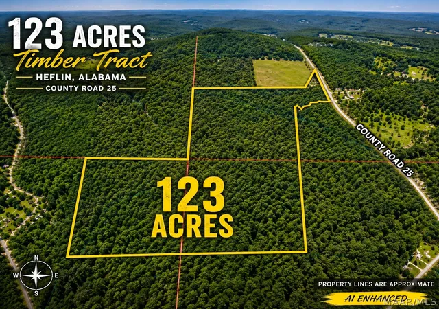 Land for sale at 0 County Rd 25, Heflin, AL 36264 | MLS# 590102