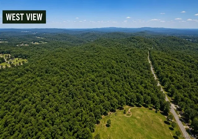 Photo 2 of Land for sale at 0 County Rd 25, Heflin, AL 36264 | MLS# 590102 | Listing updated on 2026-09-24