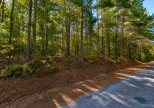Photo 3 of Land for sale at 0 County Rd 25, Heflin, AL 36264 | MLS# 590102 | Listing updated on 2026-09-24