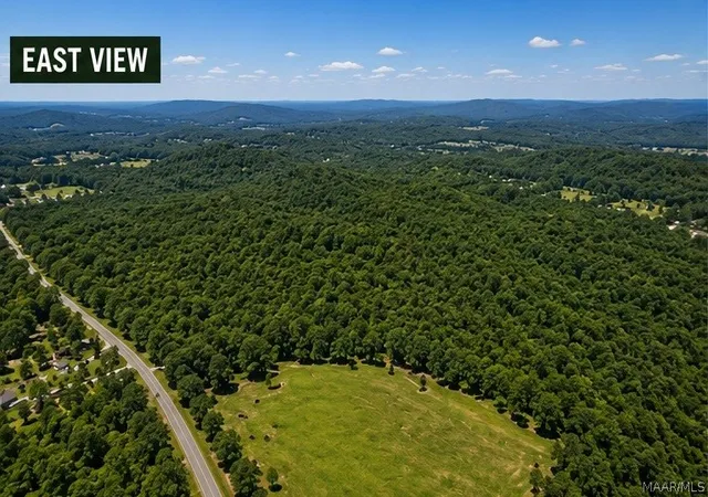 Photo 3 of Land for sale at 0 County Rd 25, Heflin, AL 36264 | MLS# 590102 | Listing updated on 2026-09-24