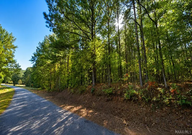 Photo 4 of Land for sale at 0 County Rd 25, Heflin, AL 36264 | MLS# 590102 | Listing updated on 2026-09-24