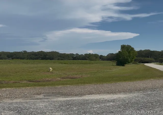 Photo 1 of Land for sale at Lot 4 Chesson Ct, Fitzpatrick, AL 36029 | MLS# 590271 | Listing updated on 2026-09-07