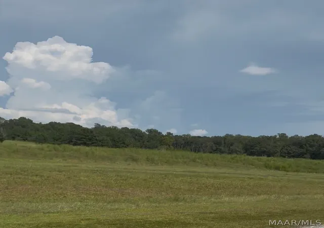 Photo 5 of Land for sale at Lot 4 Chesson Ct, Fitzpatrick, AL 36029 | MLS# 590271 | Listing updated on 2026-09-07