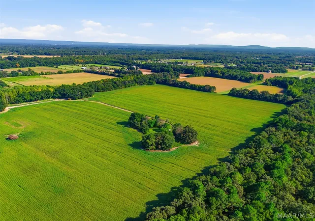 Photo 3 of Land for sale at 0 Scott Rd, Hazel Green, AL 35750 | MLS# 590360 | Listing updated on 2026-09-10