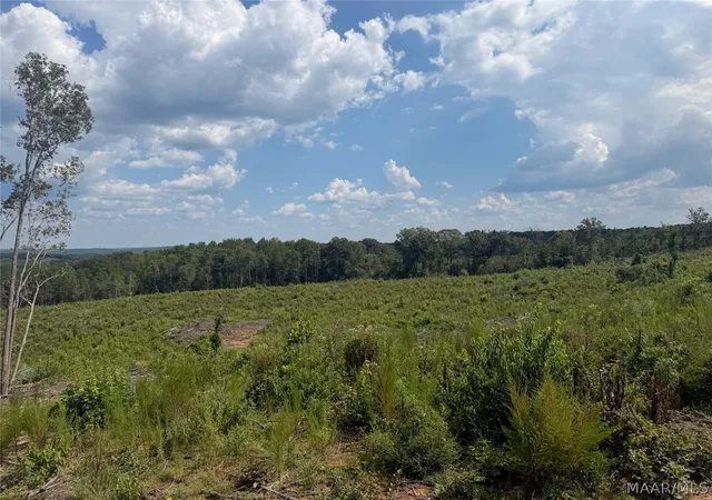 Photo 1 of Land for sale at 01 County Rd 7, Plantersville, AL 36758 | MLS# 590212 | Listing updated on 2026-09-11