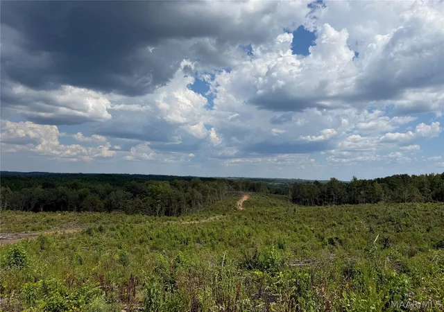 Photo 3 of Land for sale at 01 County Rd 7, Plantersville, AL 36758 | MLS# 590212 | Listing updated on 2026-09-11