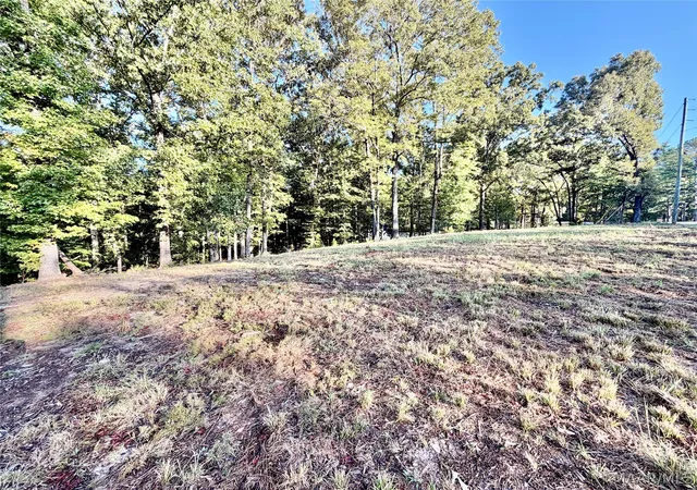 Land for sale at 2920 Trotters Trl, Wetumpka, AL 36093 | MLS# 590339
