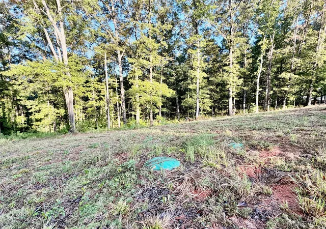 Photo 4 of Land for sale at 2920 Trotters Trl, Wetumpka, AL 36093 | MLS# 590339 | Listing updated on 2026-09-18