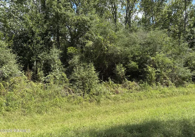 Photo 1 of Land for sale at Tbd Plantation Pl, Abbeville, LA 70510 | MLS# 2600008851 | Listing updated on 2026-09-21
