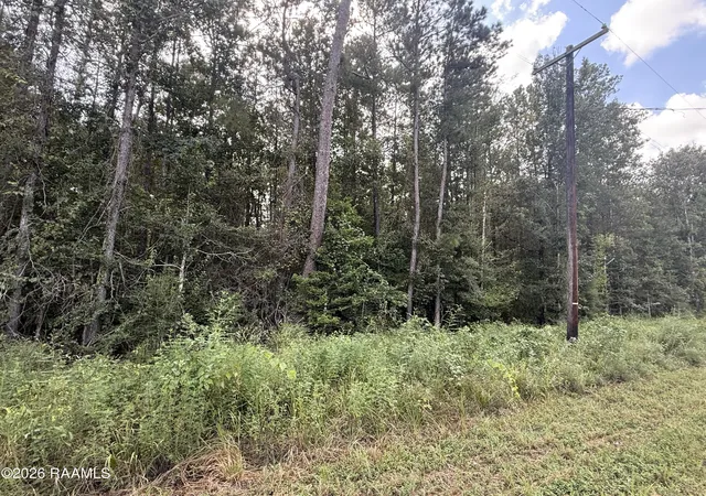 Photo 1 of Land for sale at Leman Rd, Ville Platte, LA 70586 | MLS# 2600008363 | Listing updated on 2026-09-04