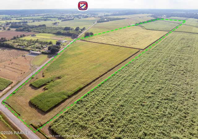 Photo 1 of Land for sale at Adier Rd, Abbeville, LA 70510 | MLS# 2600009152 | Listing updated on 2026-10-19