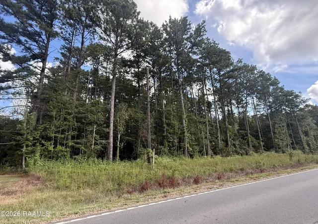Photo 1 of Land for sale at Beaver Crk Rd, Ville Platte, LA 70586 | MLS# 2600008357 | Listing updated on 2026-09-04