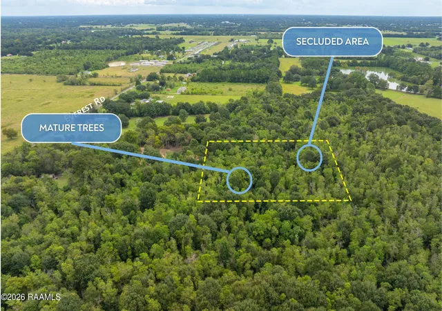 Photo 3 of Land for sale at 000 Everest Rd, Church Point, LA 70525 | MLS# 2600008322 | Listing updated on 2026-09-03