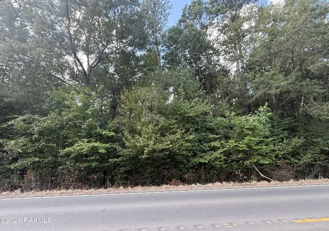 Photo 1 of Land for sale at Hwy 106 (beaver Rd), Ville Platte, LA 70586 | MLS# 2600008360 | Listing updated on 2026-09-04