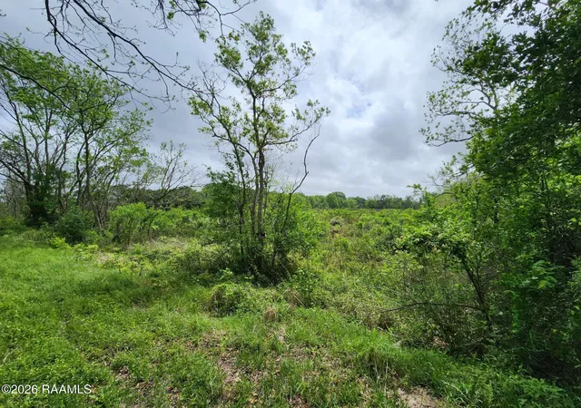 Photo 2 of Sale Pending at (Undisclosed), Kaplan, LA 70548 | MLS# 2600008236 | Listing updated on 2026-09-11