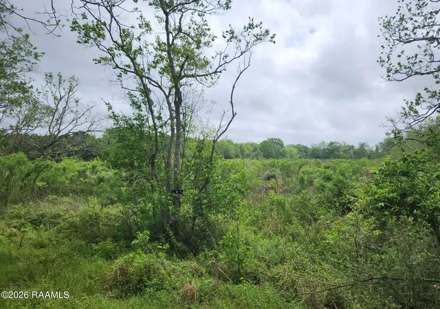 Photo 2 of Sale Pending at (Undisclosed), Kaplan, LA 70548 | MLS# 2600008236 | Listing updated on 2026-09-11