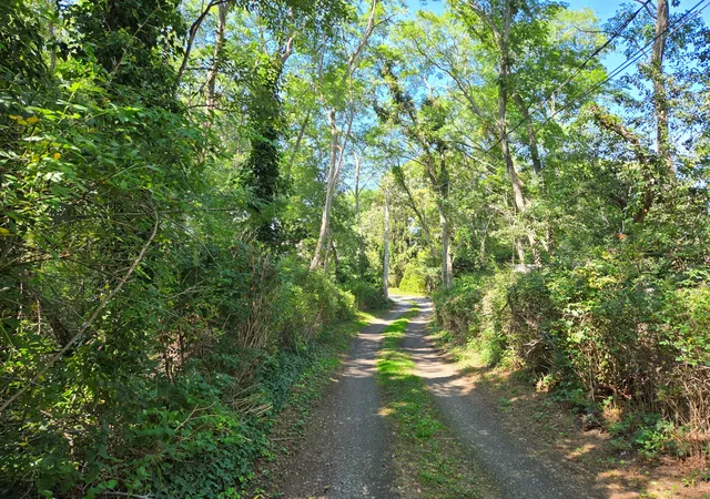 Photo 2 of Single family home for sale at 620 Kingsbury Beach Rd, Eastham, MA 02642 | MLS# 22604505 | Listing updated on 2026-09-13