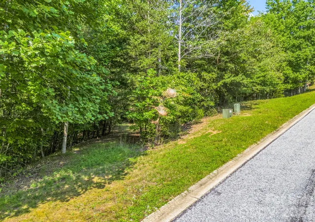 Photo 3 of Land for sale at 2 Jackson Cvs Rd W, Mill Spring, NC 28756 | MLS# 4329870 | Listing updated on 2026-09-02