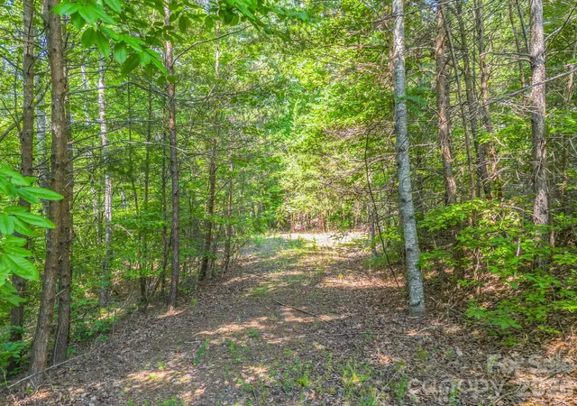 Photo 3 of Land for sale at 2 Jackson Cvs Rd W, Mill Spring, NC 28756 | MLS# 4329870 | Listing updated on 2026-09-02