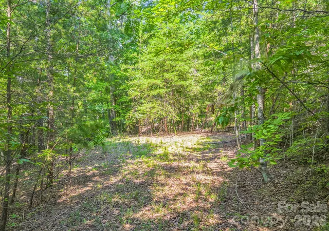 Photo 4 of Land for sale at 2 Jackson Cvs Rd W, Mill Spring, NC 28756 | MLS# 4329870 | Listing updated on 2026-09-02