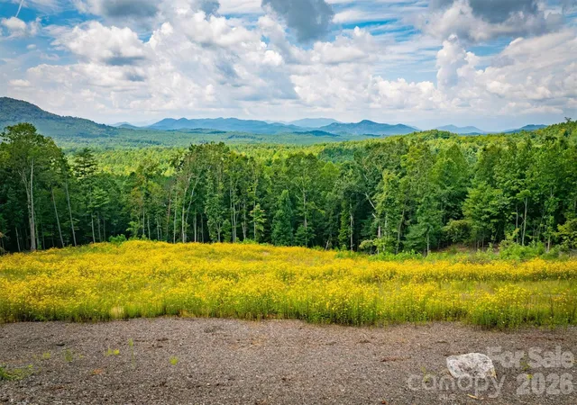 Photo 3 of Single family home for sale at 463 Summit Trl, Nebo, NC 28761 | MLS# 4350199 | Listing updated on 2026-09-01
