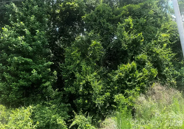 Photo 3 of Land for sale at 00 Frink St, Cayce, SC 29033 | MLS# 4364225 | Listing updated on 2026-09-01