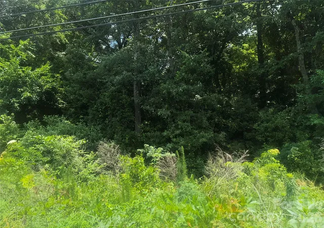 Photo 5 of Land for sale at 00 Frink St, Cayce, SC 29033 | MLS# 4364225 | Listing updated on 2026-09-01